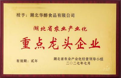 龍頭企業(yè)